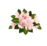 Asset-03-800x796
